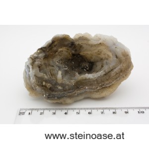 Chalcedon Druse mit Stalaktit